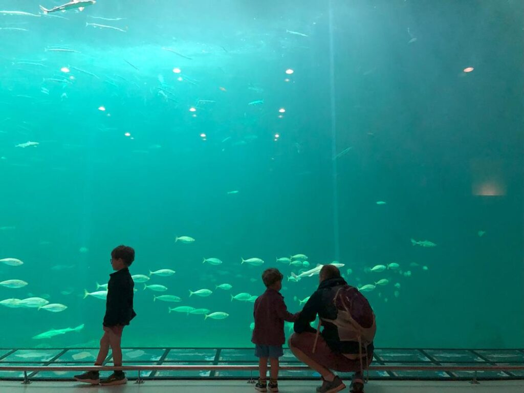 oceanarium w hirshals