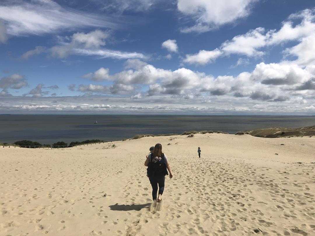 Litwa, Łotwa, Estonia camervanem